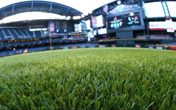 Is The Field At The Arizona Cardinal Stadium Grass Or Artificial Turf - TeeAloha